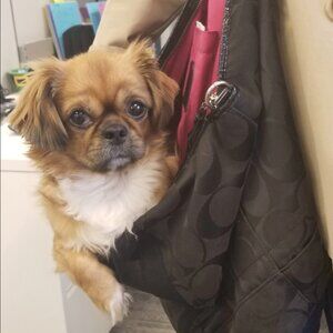 Meet your Posher, Jamie